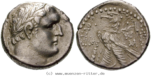 Klicken Sie auf das Bild um es auf Ihrem Rechner zu speichern judaea--herodianer-herodes-archelaos-schekel/egri6731.jpg