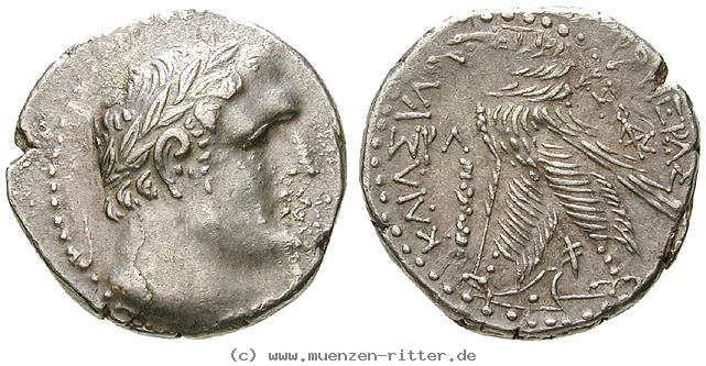 Klicken Sie auf das Bild um es auf Ihrem Rechner zu speichern judaea--herodianer-herodes-archelaos-schekel/egri6745.jpg