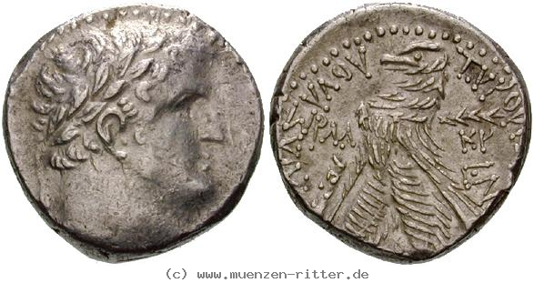 Klicken Sie auf das Bild um es auf Ihrem Rechner zu speichern judaea--herodianer-herodes-archelaos-schekel/egri6757.jpg