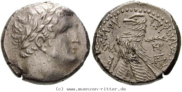 Klicken Sie auf das Bild um es auf Ihrem Rechner zu speichern judaea--herodianer-herodes-archelaos-schekel/egri6758.jpg