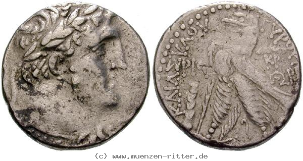 Klicken Sie auf das Bild um es auf Ihrem Rechner zu speichern judaea--herodianer-herodes-der-grosse-schekel/egri6715.jpg
