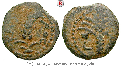 Klicken Sie auf das Bild um es auf Ihrem Rechner zu speichern judaea--prokuratoren-marcus-ambibulus-prutah/60308.jpg
