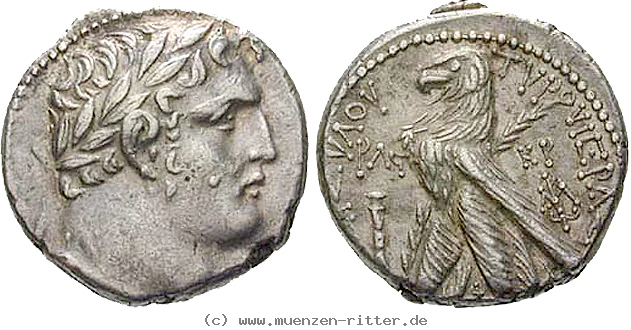 Klicken Sie auf das Bild um es auf Ihrem Rechner zu speichern judaea--prokuratoren-marcus-ambibulus-schekel/egri6773.jpg