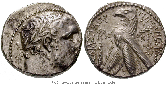 Klicken Sie auf das Bild um es auf Ihrem Rechner zu speichern judaea--prokuratoren-marcus-ambibulus-schekel/egri6774.jpg