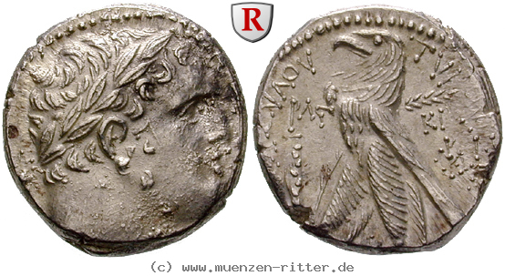 Klicken Sie auf das Bild um es auf Ihrem Rechner zu speichern judaea--prokuratoren-marcus-ambibulus-schekel/egri6776.jpg