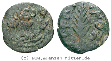 judaea--prokuratoren-porcius-festus-prutah/21037.jpg