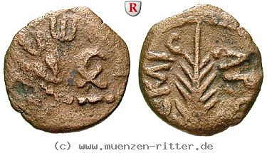 Klicken Sie auf das Bild um es auf Ihrem Rechner zu speichern judaea--prokuratoren-porcius-festus-prutah/60867.jpg