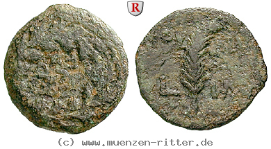 judaea--prokuratoren-valerius-gratus-prutah/52863.jpg