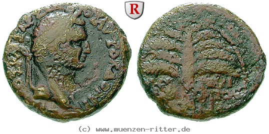 Klicken Sie auf das Bild um es auf Ihrem Rechner zu speichern judaea-domitianus-bronze/64805.jpg