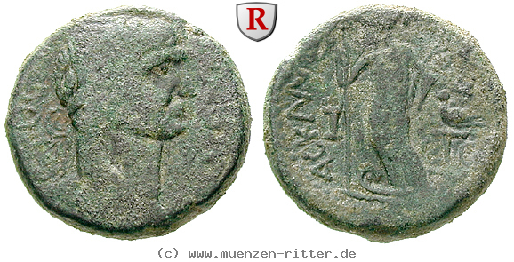 Klicken Sie auf das Bild um es auf Ihrem Rechner zu speichern judaea-traianus-bronze/52816.jpg