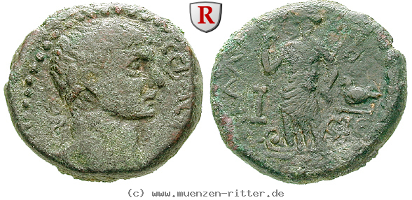 Klicken Sie auf das Bild um es auf Ihrem Rechner zu speichern judaea-traianus-bronze/52817.jpg