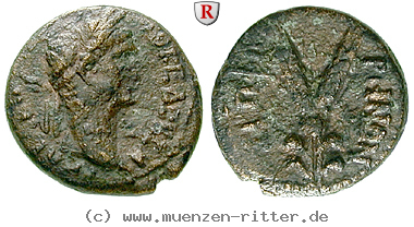 judaea-traianus-bronze/64755.jpg