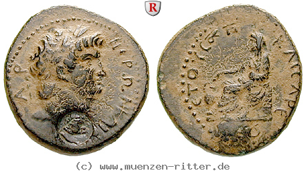 kilikien-nero-hemiassarion/56192.jpg