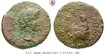 Klicken Sie auf das Bild um es auf Ihrem Rechner zu speichern kilikien-nero-hemiassarion/56194.jpg