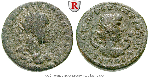 Klicken Sie auf das Bild um es auf Ihrem Rechner zu speichern kilikien-volusianus-triassarion/56377.jpg