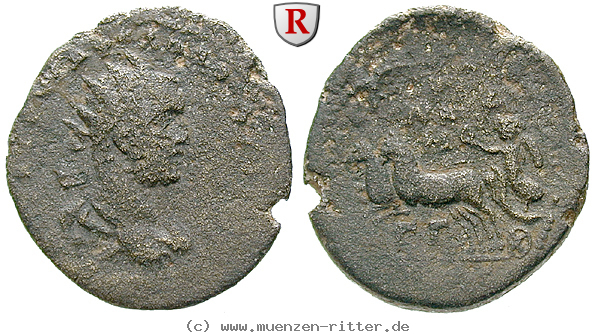Klicken Sie auf das Bild um es auf Ihrem Rechner zu speichern kilikien-volusianus-triassarion/56387.jpg