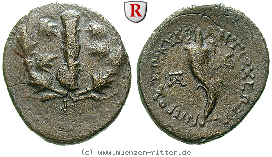 Klicken Sie auf das Bild um es auf Ihrem Rechner zu speichern kilikien-zeit-antiochos-iv-tetrachalkon/56574.jpg
