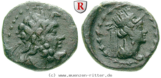 Klicken Sie auf das Bild um es auf Ihrem Rechner zu speichern koile-syria-tetrachalkon/64485.jpg