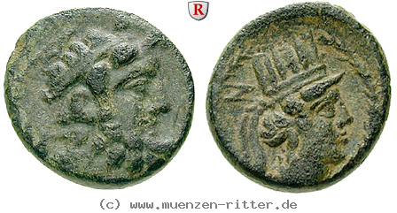 Klicken Sie auf das Bild um es auf Ihrem Rechner zu speichern koile-syria-tetrachalkon/86853.jpg