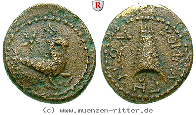 Klicken Sie auf das Bild um es auf Ihrem Rechner zu speichern kommagene-antiochos-iv-bronze/66461.jpg