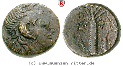 Klicken Sie auf das Bild um es auf Ihrem Rechner zu speichern kyrenaika-bronze/60198.jpg