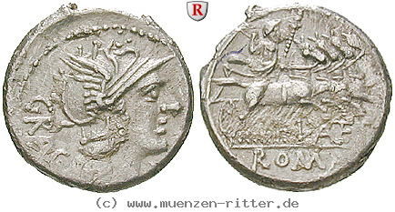 Klicken Sie auf das Bild um es auf Ihrem Rechner zu speichern l-antestius-gragulus-denar/erom9862.jpg