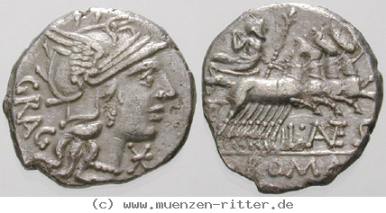 Klicken Sie auf das Bild um es auf Ihrem Rechner zu speichern l-antestius-gragulus-denar/erom9863.jpg