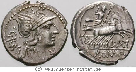 Klicken Sie auf das Bild um es auf Ihrem Rechner zu speichern l-antestius-gragulus-denar/erom9865.jpg
