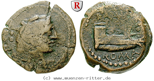 Klicken Sie auf das Bild um es auf Ihrem Rechner zu speichern l-antestius-gragulus-quadrans/65617.jpg