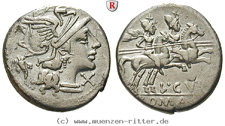 Klicken Sie auf das Bild um es auf Ihrem Rechner zu speichern l-cupiennius-denar/45677.jpg