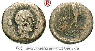 Klicken Sie auf das Bild um es auf Ihrem Rechner zu speichern l-piso-frugi-quinar/48396.jpg