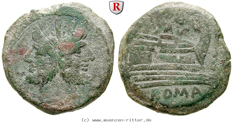 Klicken Sie auf das Bild um es auf Ihrem Rechner zu speichern l-saufeius-as/50009.jpg