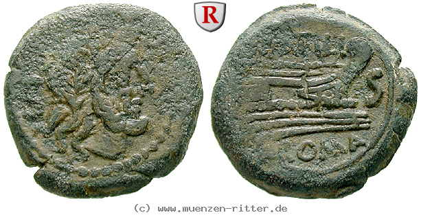 m-atilius-saranus-semis/39869.jpg