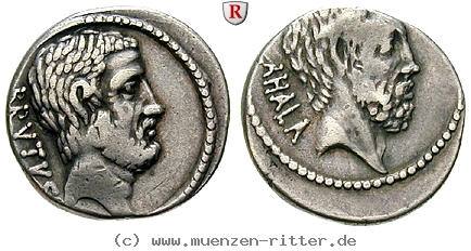 m-junius-brutus-denar/101009.jpg