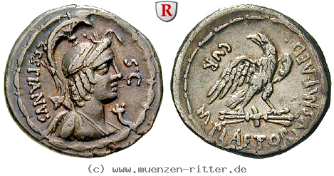 m-plaetorius-cestianus-denar/45108.jpg