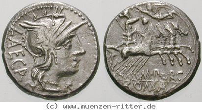 m-porcius-laeca-denar/erom9351.jpg
