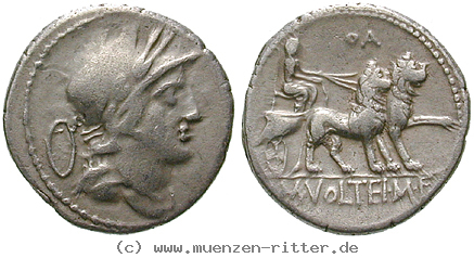 Klicken Sie auf das Bild um es auf Ihrem Rechner zu speichern m-volteius-denar/erom7751.jpg