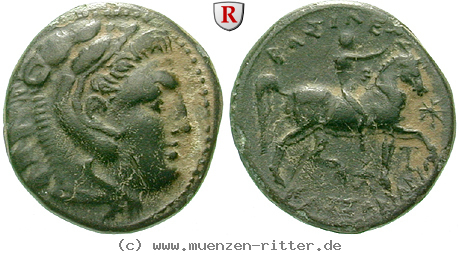 makedonien-kassander-bronze/egri7636.jpg