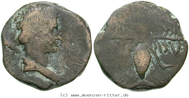 Klicken Sie auf das Bild um es auf Ihrem Rechner zu speichern mauretanien-juba-ii-mit-kleopatra-selene-bronze/egri7951.jpg