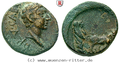mysien-drusus-iunior-sohn-des-tiberius-bronze/61809.jpg