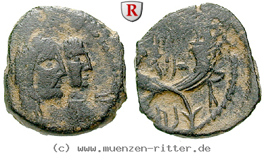 Klicken Sie auf das Bild um es auf Ihrem Rechner zu speichern nabataea-rabbel-ii-bronze/35991.jpg