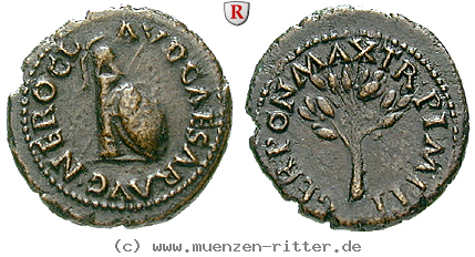 nero-quadrans/46518.jpg