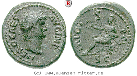 nero-semis/34119.jpg