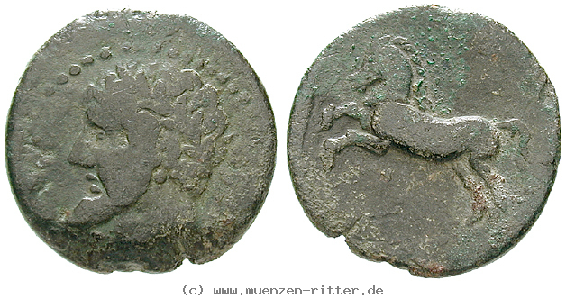 numidien-micipsa-bronze/49315.jpg