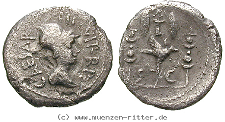 Klicken Sie auf das Bild um es auf Ihrem Rechner zu speichern octavian-denar/12886.jpg