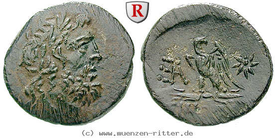Klicken Sie auf das Bild um es auf Ihrem Rechner zu speichern paphlagonien-bronze/65670.jpg