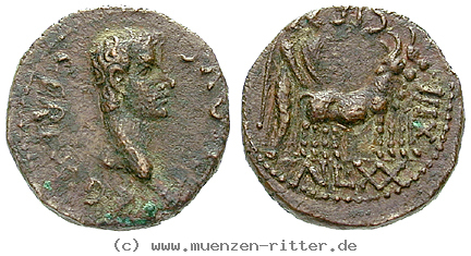 Klicken Sie auf das Bild um es auf Ihrem Rechner zu speichern paphlagonien-caligula-bronze/24029.jpg