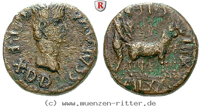 paphlagonien-caligula-bronze/24030.jpg