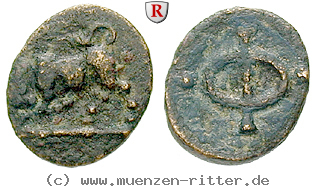 Klicken Sie auf das Bild um es auf Ihrem Rechner zu speichern phliasia-bronze/38650.jpg