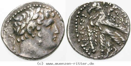 Klicken Sie auf das Bild um es auf Ihrem Rechner zu speichern phoenizien-1-2-schekel/egri10563.jpg